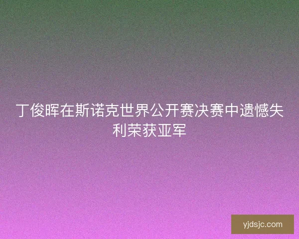 丁俊晖在斯诺克世界公开赛决赛中遗憾失利荣获亚军